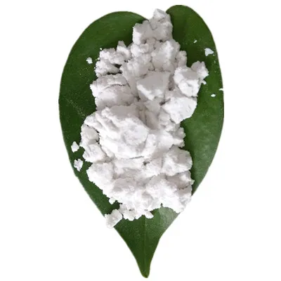 Diatomite Earth High Whiteness Diatomaceous Earth From China for Painting Oil Filtration factory