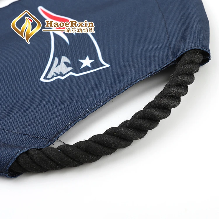 training dog toy frisbee