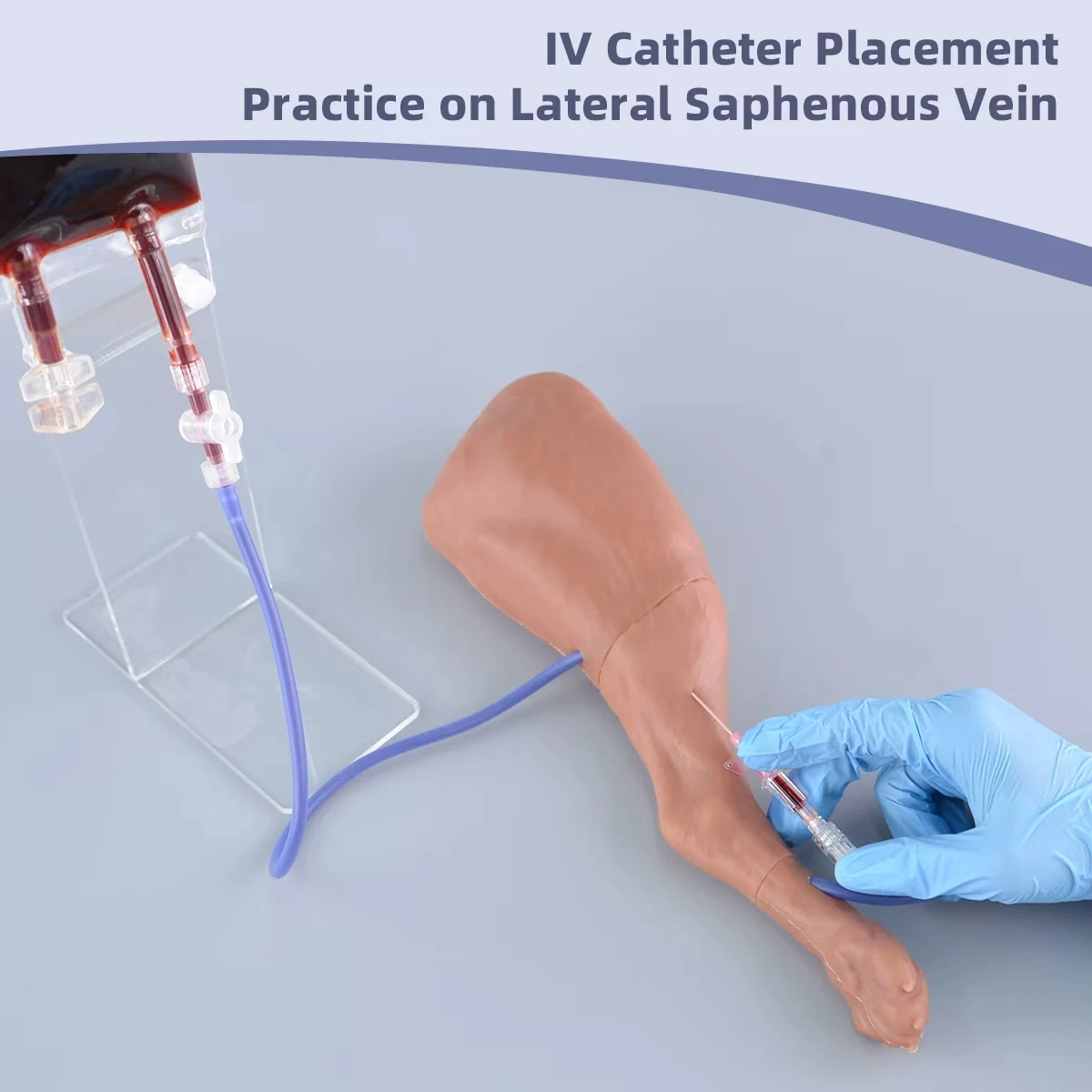 Veterinary Dog Injection Practice Canine Leg Injection Trainer for IM&IV Injections Medical Saphenous Vein Blood Collection