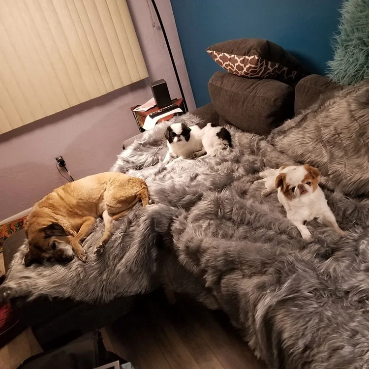 Yangyang Pet Warm Sleeping Waterproof Faux Fur Fleece Pet Blanket