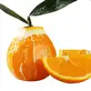 2019 Honey Pomelo Grapefruit From Our Factory /Japanese cross orange