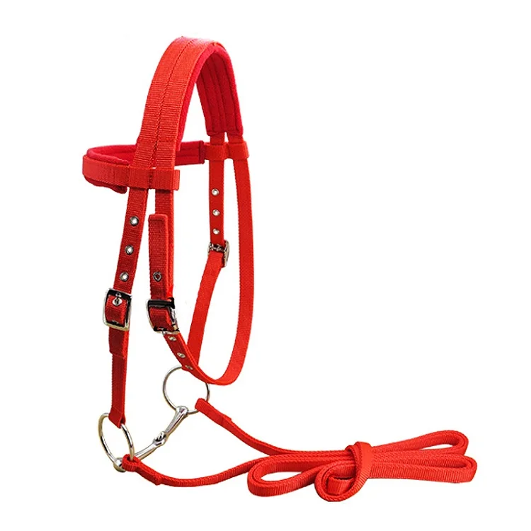 horse halter (12).jpg