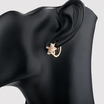 Gold Plated 2gm Gold Earring Jewelry Designs For Girls With Clear Zircon - Buy 2gm Gold Earring 