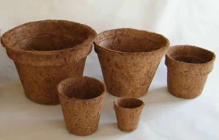 Coco pots