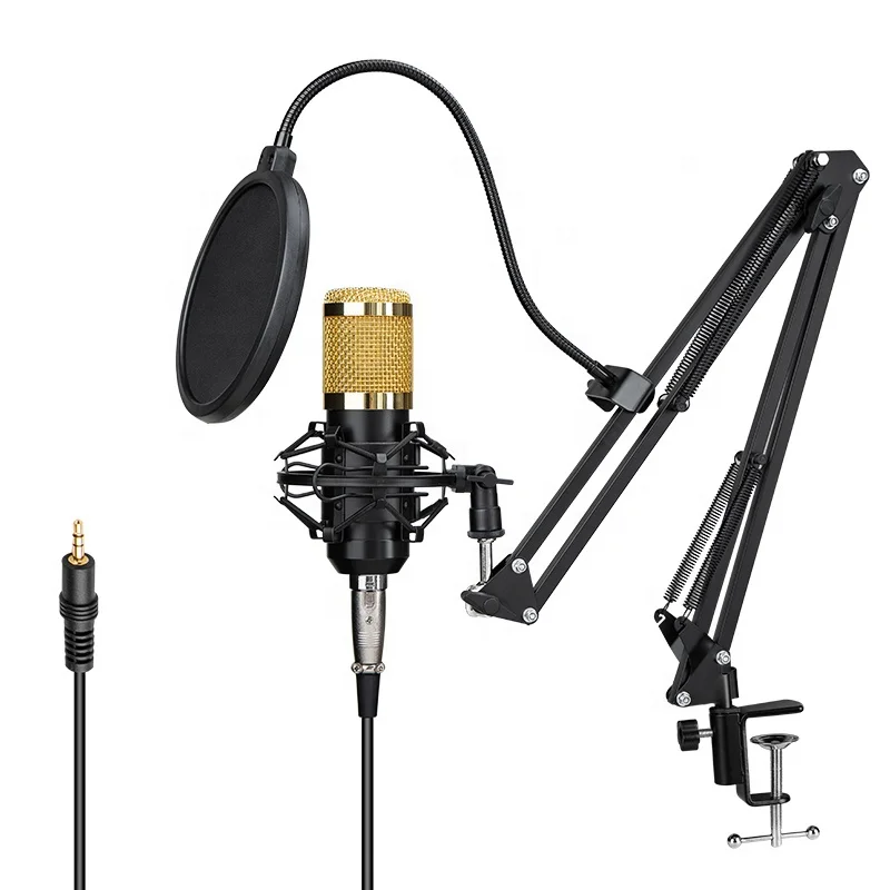 Professional Condenser Podcast Microphone With Wired For Studio Living