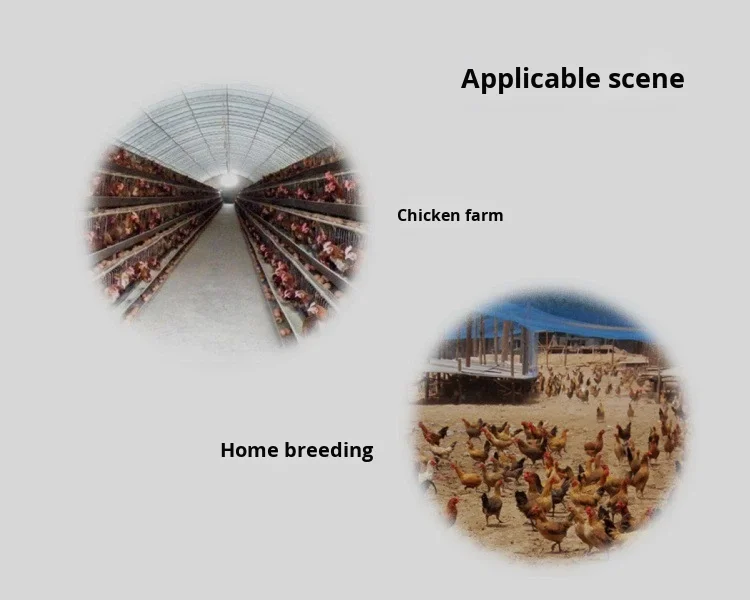 SURRI New Multi-Layer Stepped A-Shaped Stacked Chicken Cages Hot-Dip Galvanized Wire for Home Farming