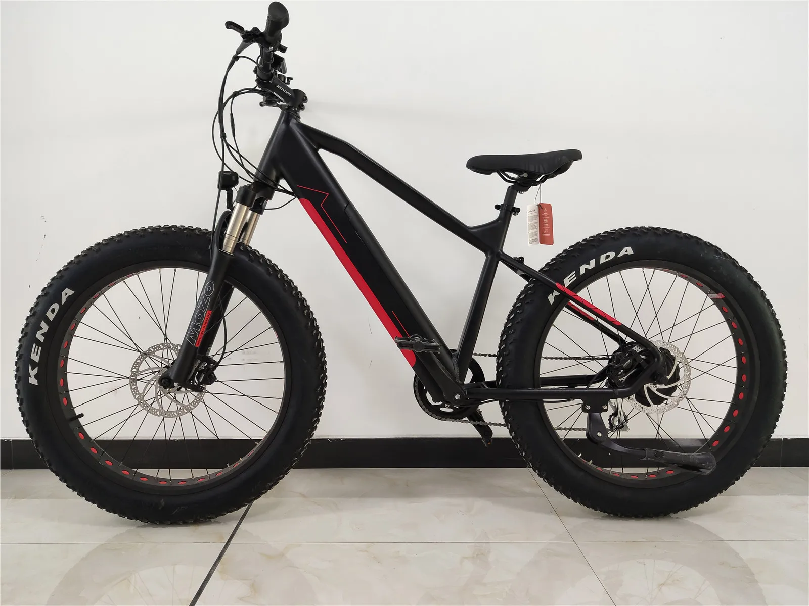 Petrigo Fat Tire Ebike Beach Cruiser Electric Bike Bicycle Mountain