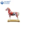 New Design Veterinarian Reference Horse Acupuncture Model,Animal Acupuncture Model