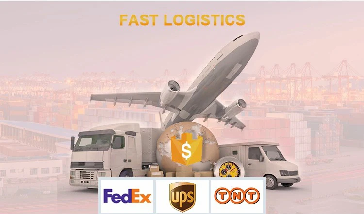 Factory Wholesale Indoor Tumbling Mat Gym Mat Gymnastics Mat for Kid for home