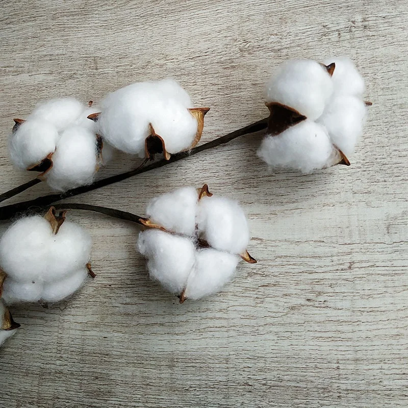 5 heads artificial cotton flowers single stem white cotton for