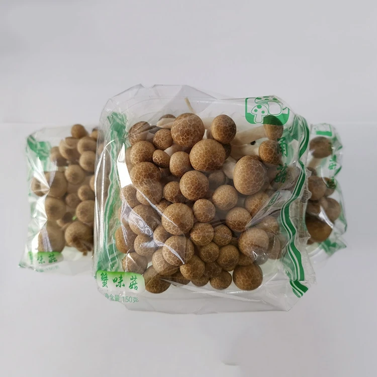 
Factory supplying wholesale fresh mushroom Discount price production 