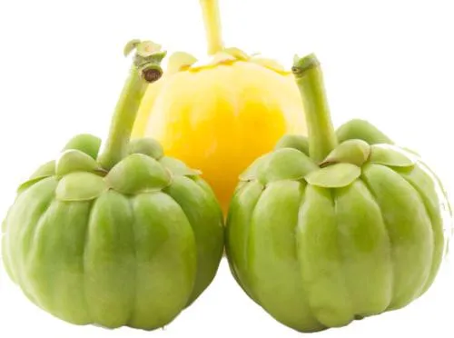 u=108456813,69808302&fm=26&gp=0