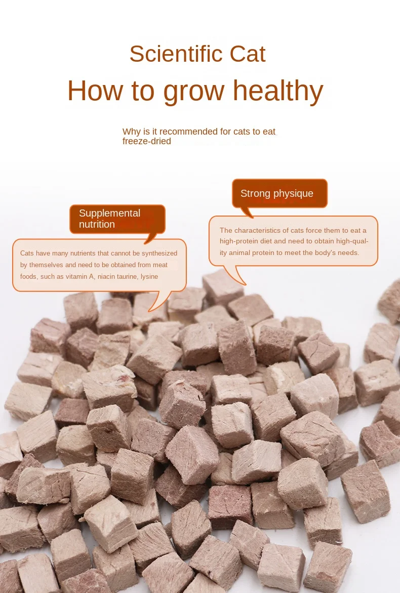 Customized OEM Freeze-Dried Duck Meat Cat Dog Food Supplement for Adult Pets details