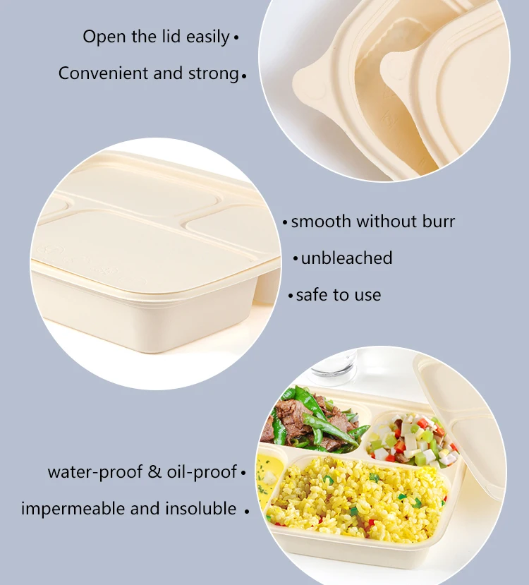 Microwave Safe Compostable Takeaway Food Container Disposable Corn Starch Plastic Bento Lunch Box
