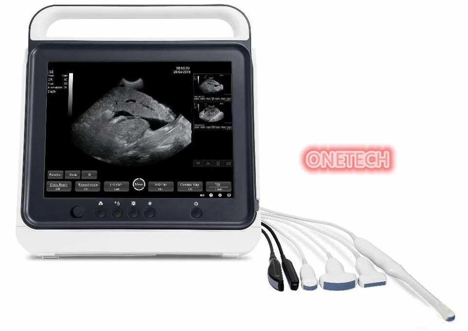 Large Touch Screen Veterinary Ultrasound Machine Scanner For Dogs,Cats