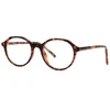 Fashion ladies demi brown tr90 round injected optical frames