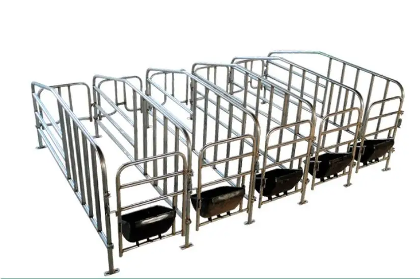 product pig positioning bar for sows farming equipment  limit bar for fattening pigs gestation stall crates-97