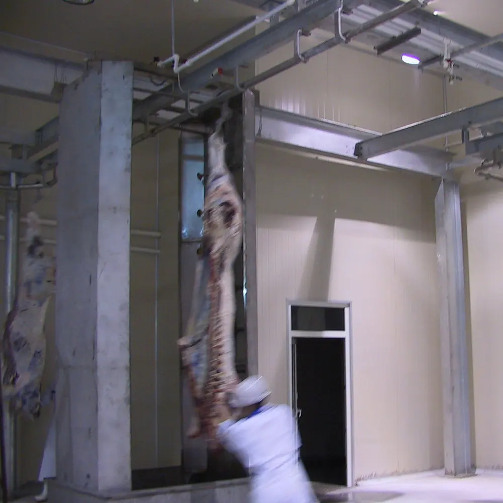 bull slaughter equipment