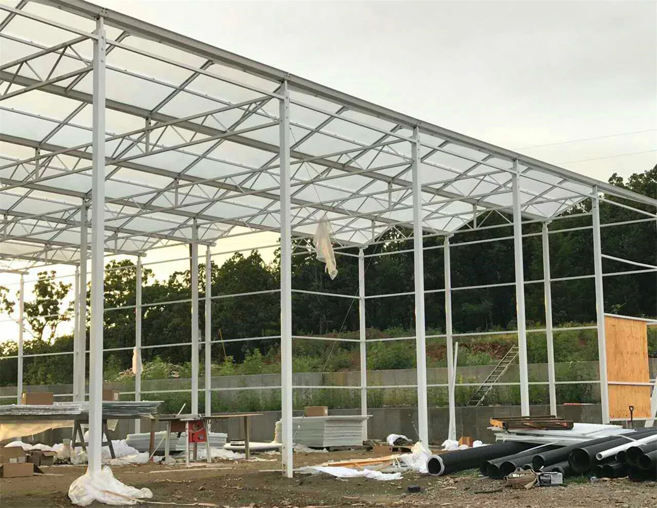 Vanilla Multiple Greenhouse