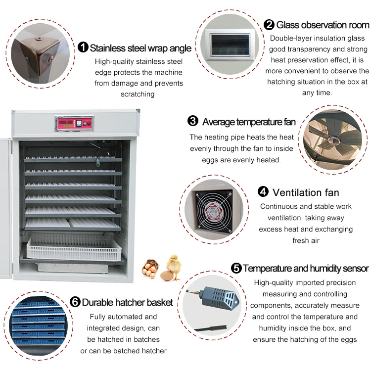 1056 egg  incubator-32.jpg
