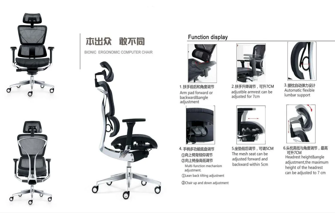 Chair's function.png