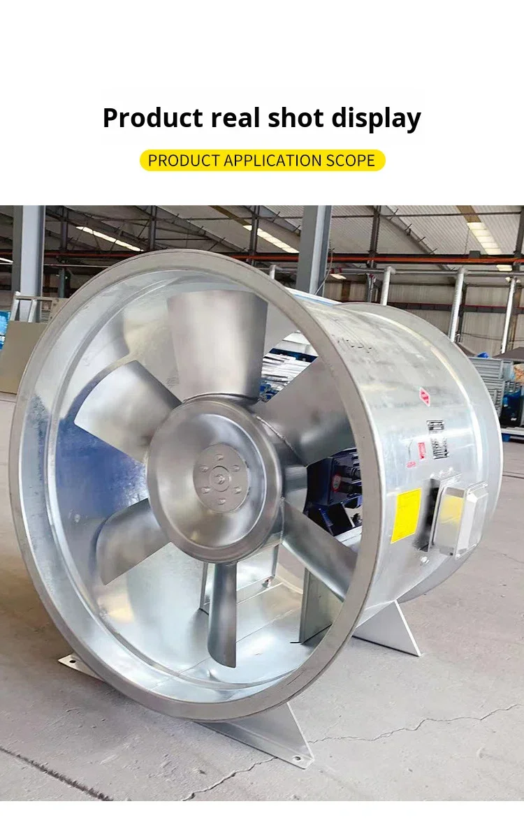 Smoke Exhaust Axial Fan, HTF, 380 220, Electric - detail 20