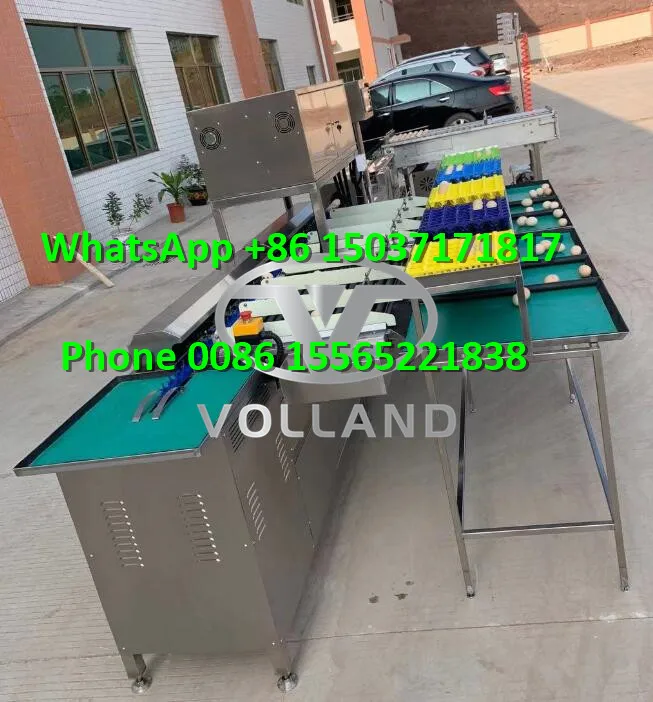 electronic egg grader7.jpg