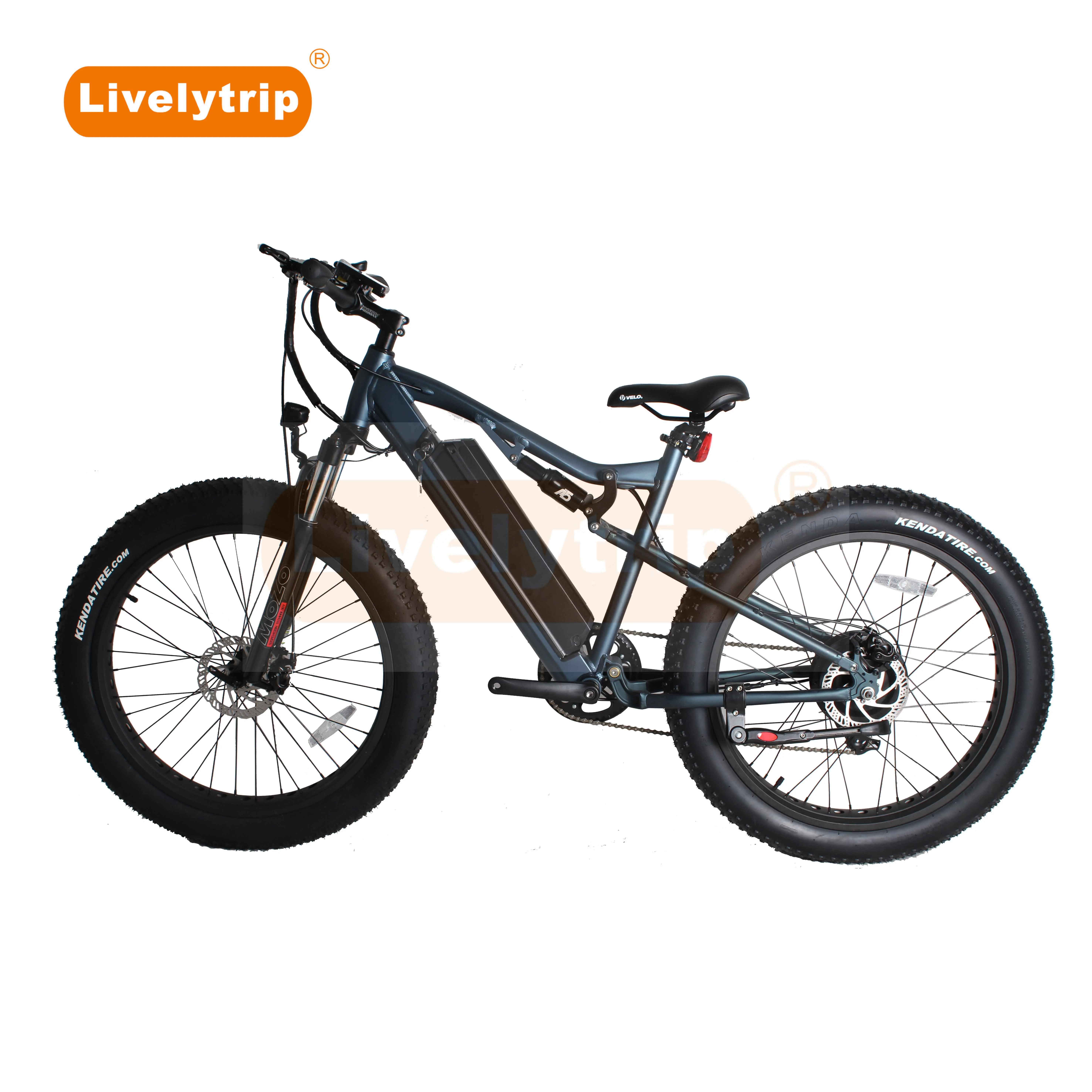 fat bike with battery