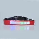 Newest APP Bluetooth Connect LED flashing USB Dog Collar with Screen