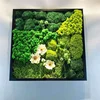 wholesale preserved reindeer moss wall hanging frame