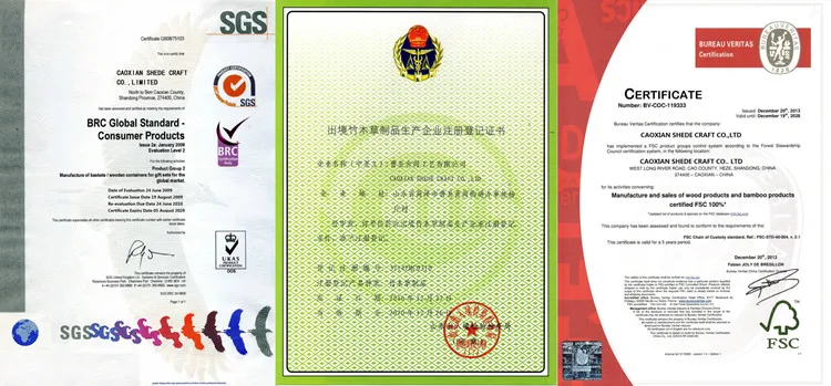certificate.jpg