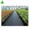 EGP pp weed control mat to stop grass growing ground cover