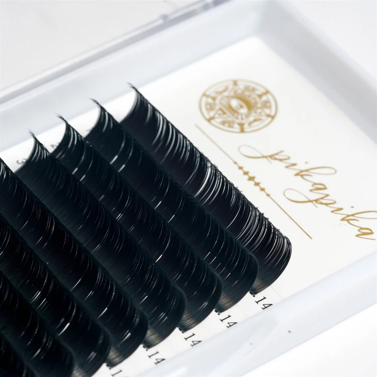 Wholesale Bulk Lash Eyelash Extension Supplies Fast Blooming Private