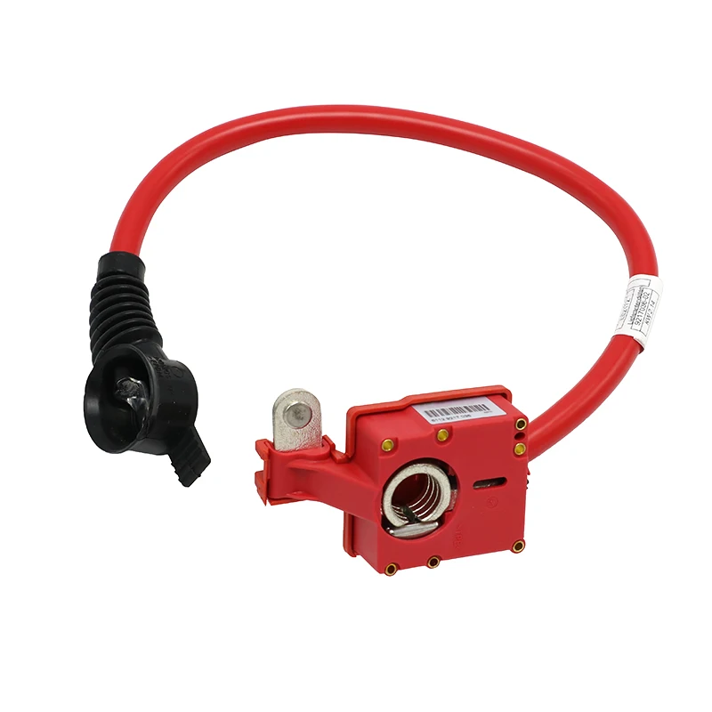 61129217036 Auto Spare Parts Positive Battery Cable For Bmw 6112 9217