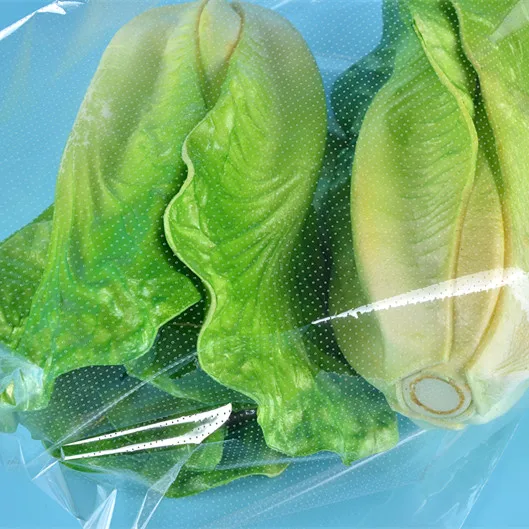 Breathable plastic bag for food / vegetable / bakery package, View