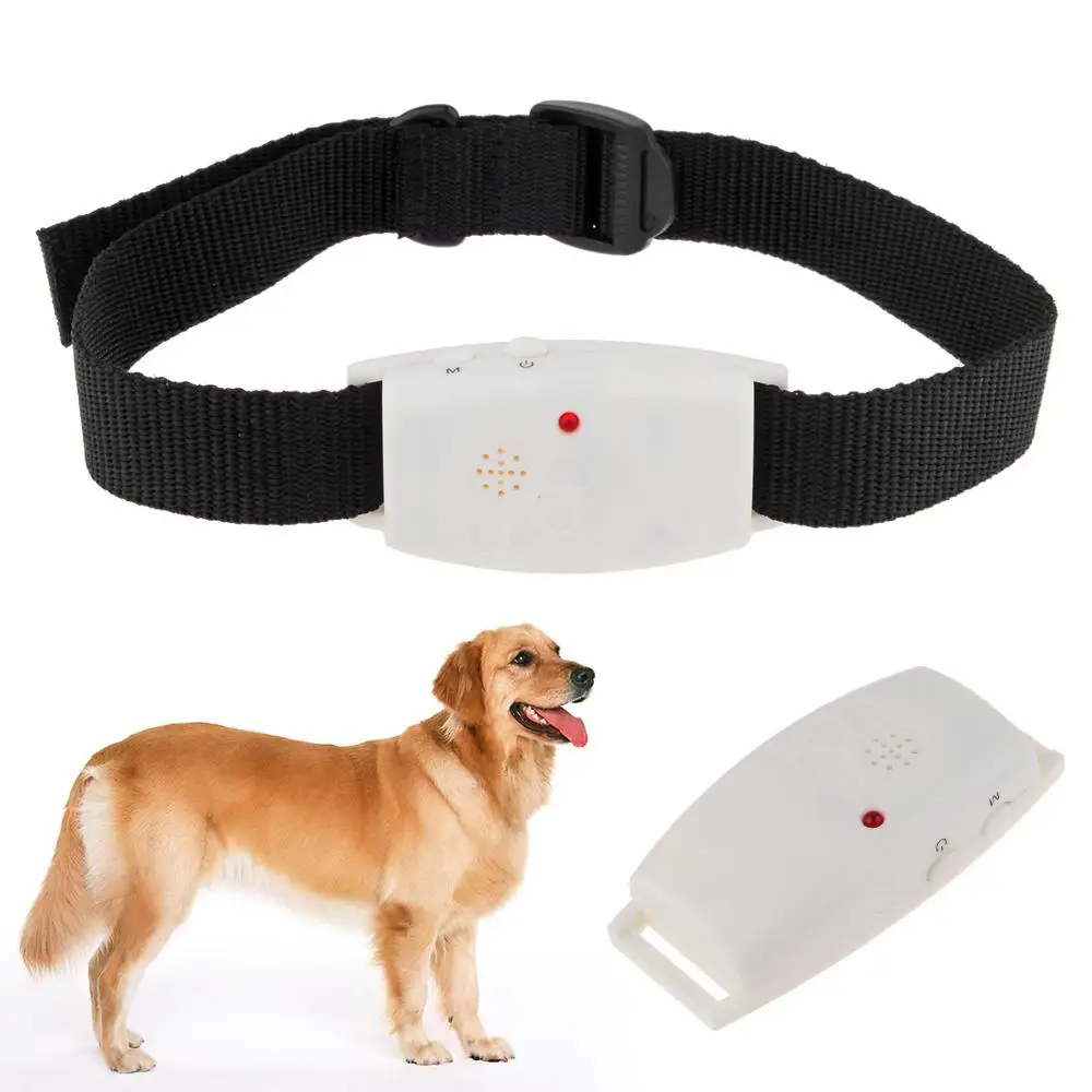 ultrasonic flea collar