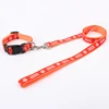 Custom Fashion Ribbon Nylon Safety Dog Collar and Leash Wholesale