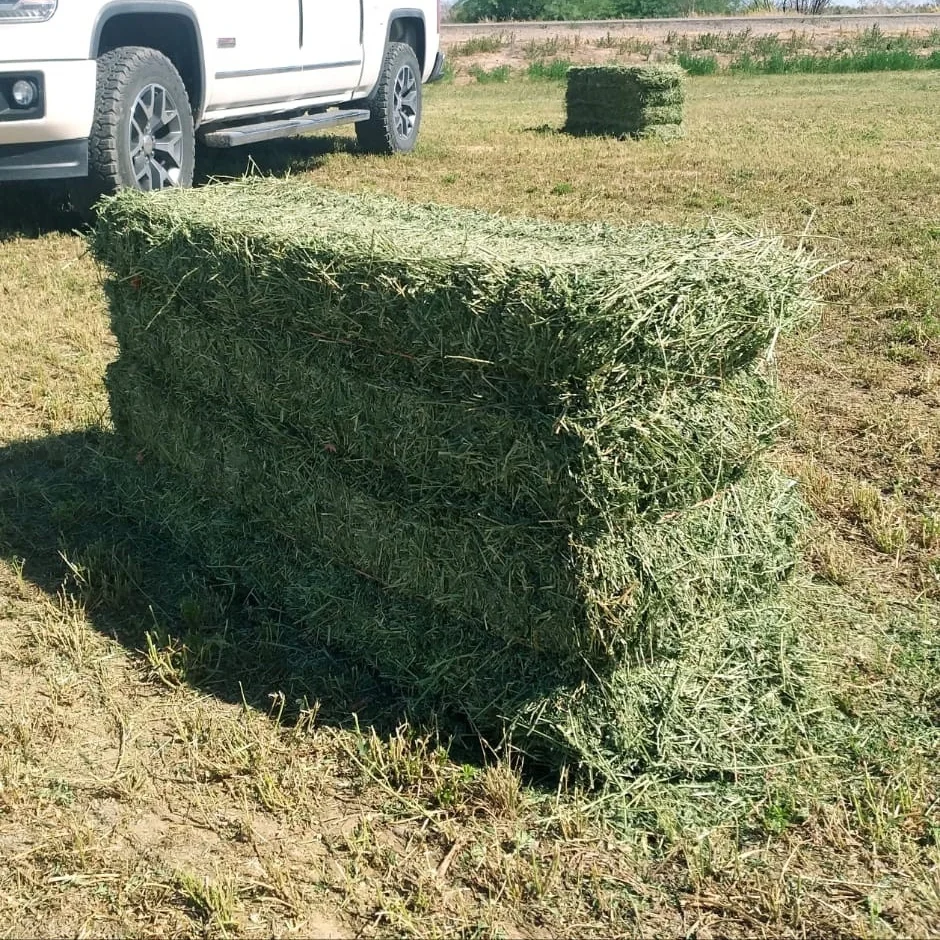 55kg single press bales.png
