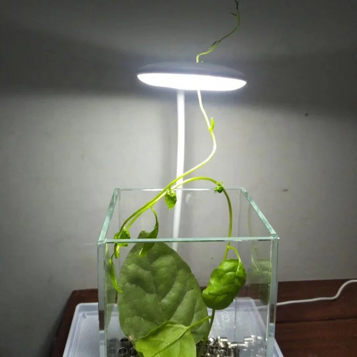 mini LED-2.jpg