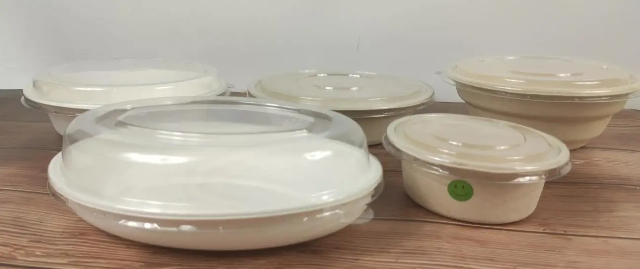 Bagasse bowl with lid.jpg