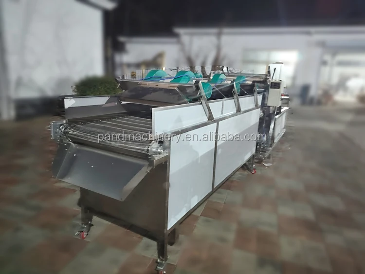 Air Drying Machine Vegetable Water Removing Machine Date Air Blower