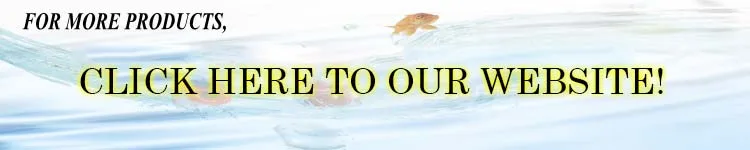 homepage.jpg