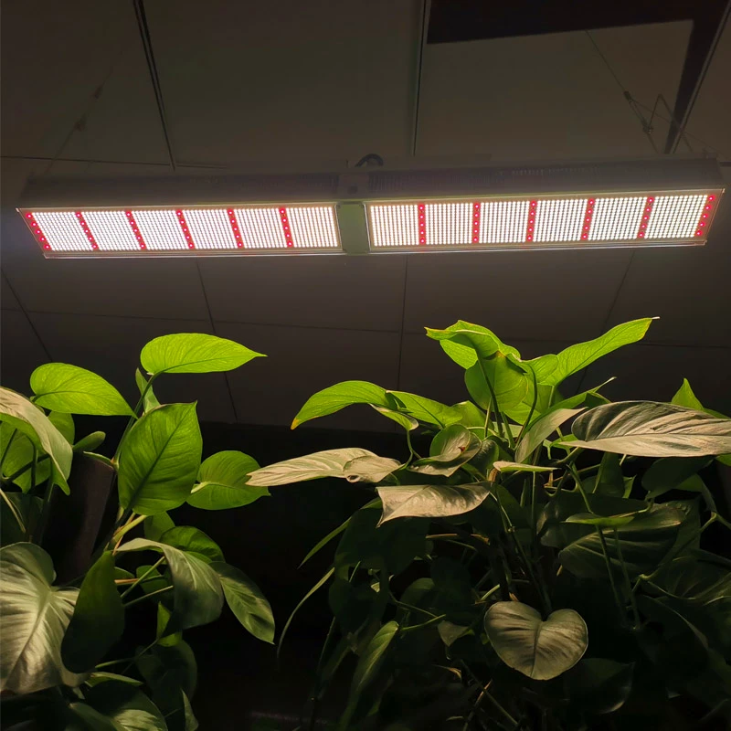 LM301b  480w grow light wireless fast install led grow lights for Indoor Garden ,best shipping to Canada USA