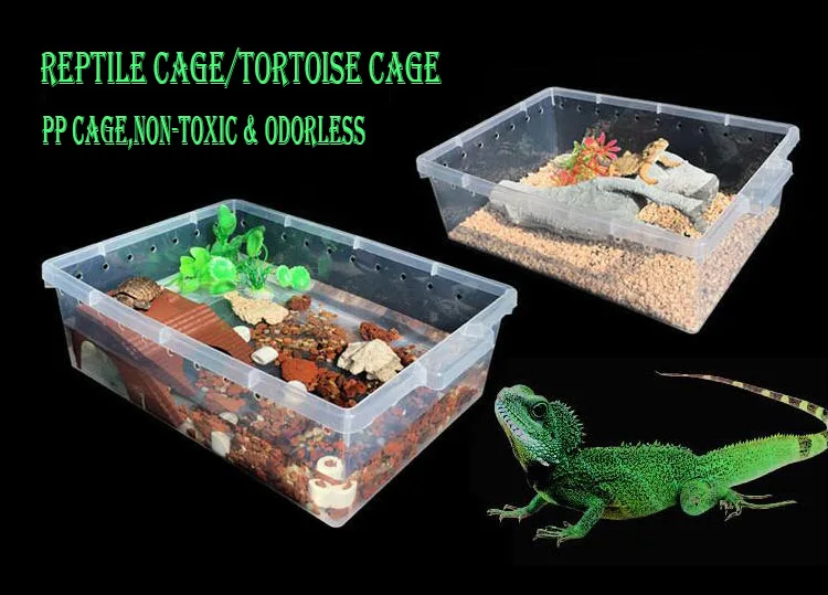 Reptile Vivarium Cages Reptile Cage/tortoise Cage Thermostat Reptile