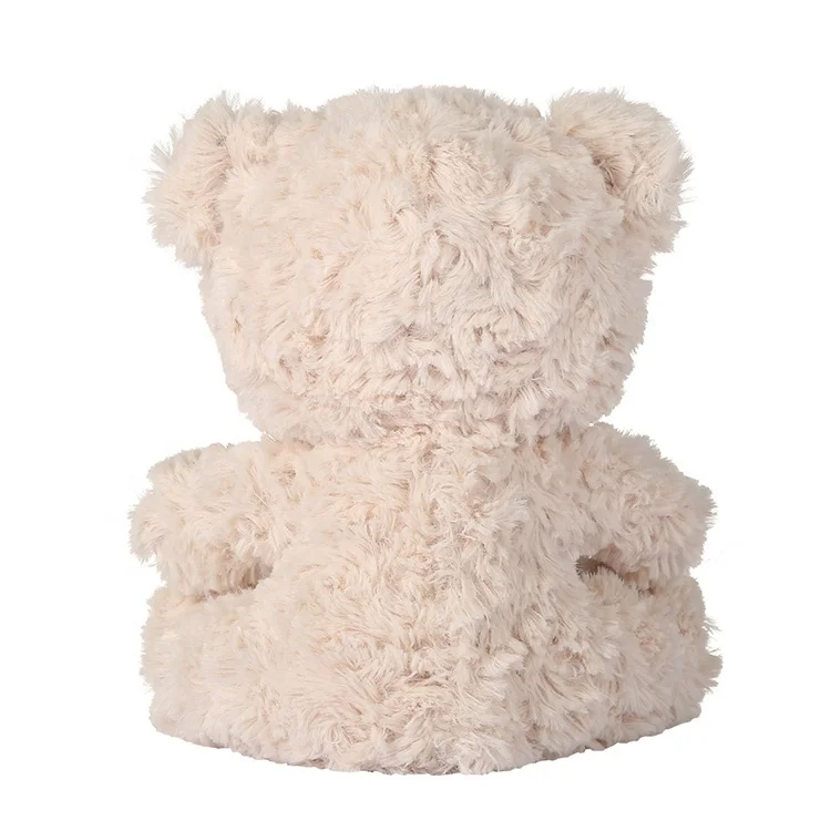 recordable teddy