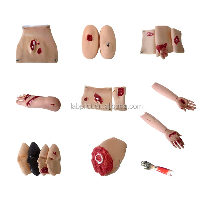 G110-43 wound simulation.jpg