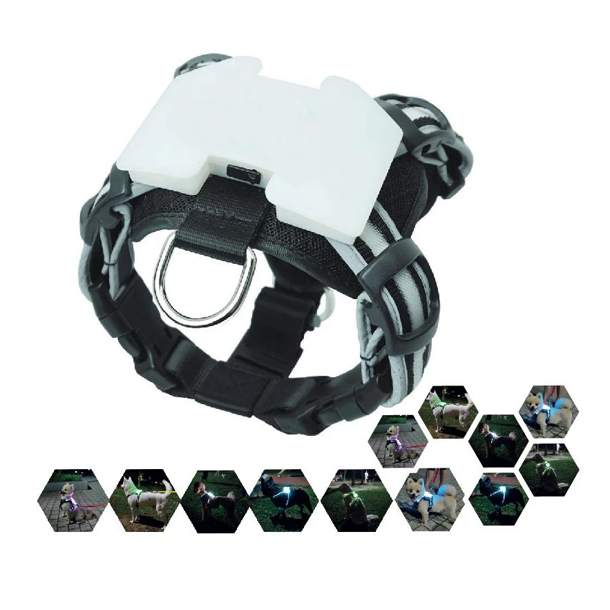 

Pet accessory in chest lead dog harness with led dog harness,2 Pieces, Multicolor