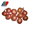 GAP The Newest Crop Shallot, Fresh SHallots, Shallot