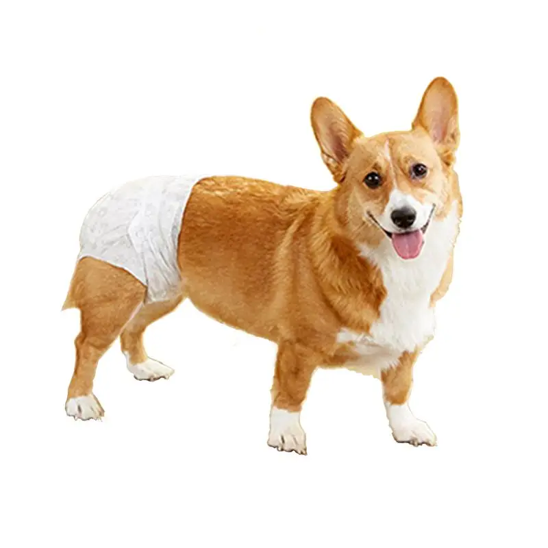 dog diapers for poop