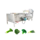 HDF6000 2000kg/h fruit & vegetable washer system in industrial